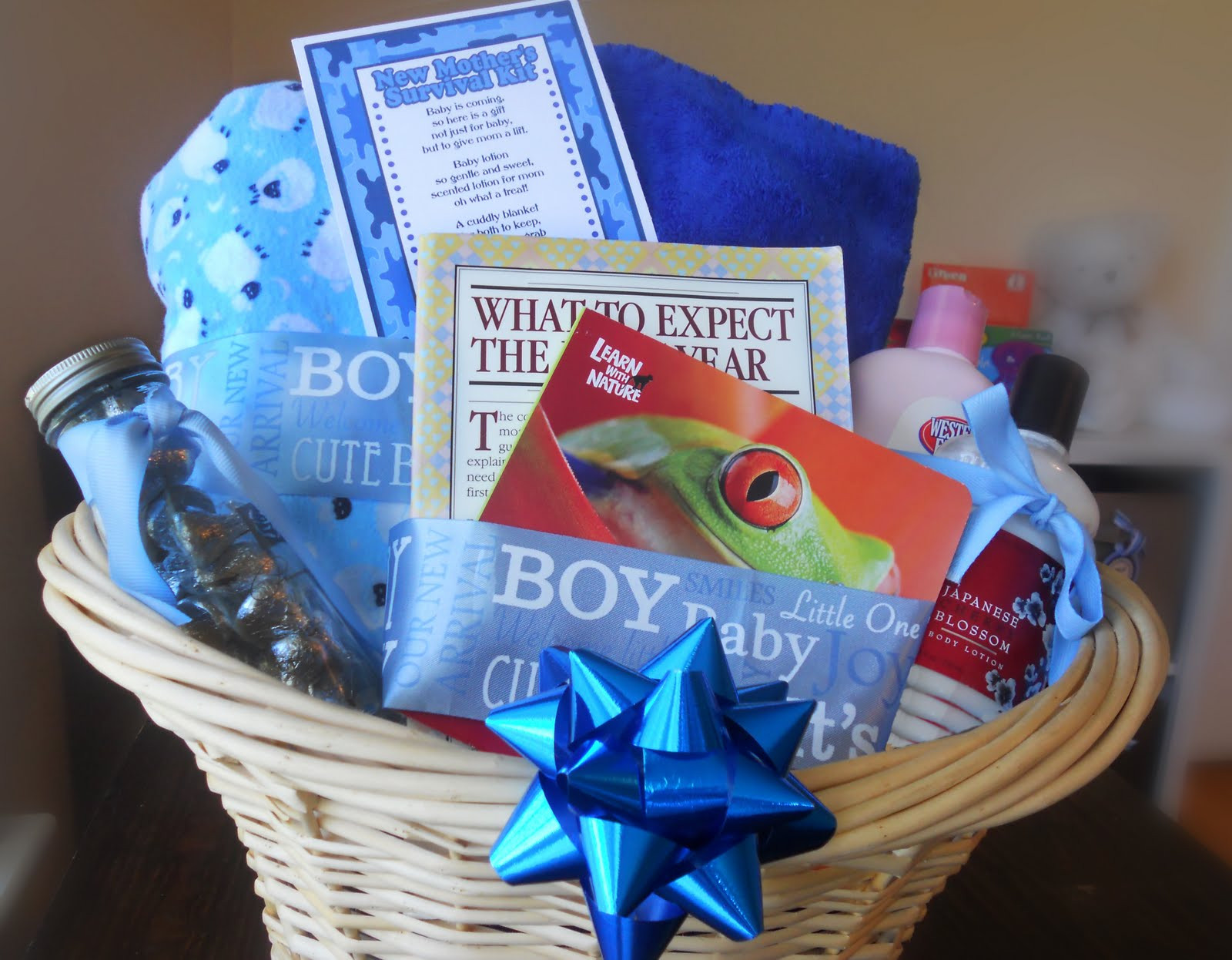 New Mom Gift Basket Ideas
 Baby Shower Gift Survival Kit Darling Doodles