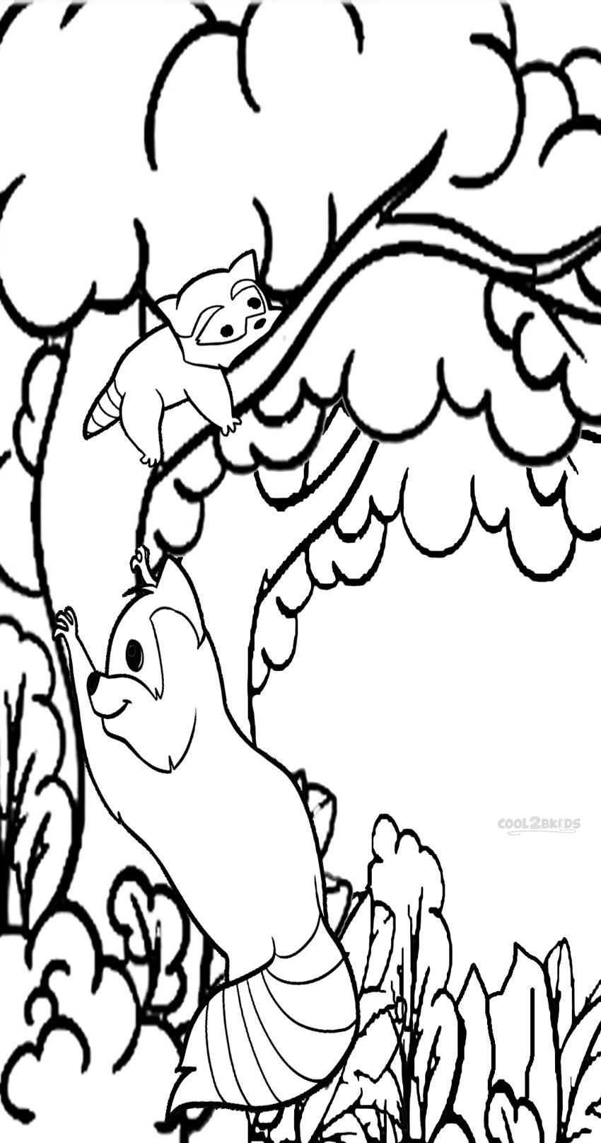 Nicole'S Free Coloring Pages
 Printable Raccoon Coloring Pages For Kids