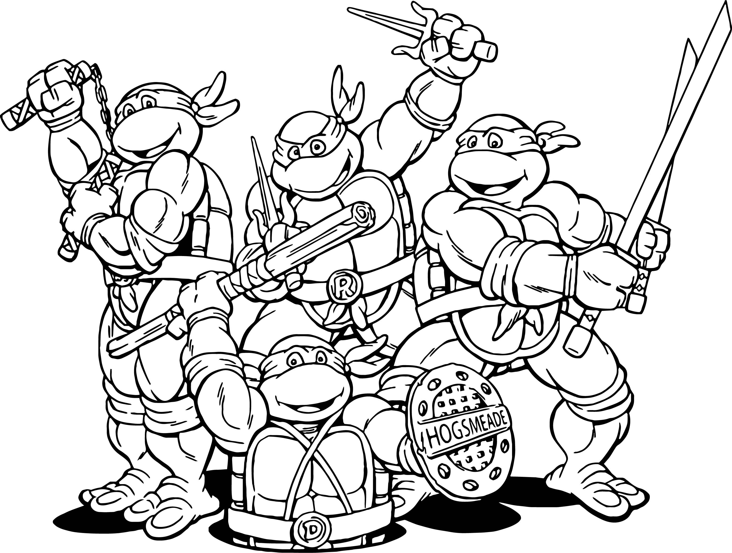 Ninja Turtle Coloring Sheet
 Teenage Mutant Ninja Turtles Cartoon Coloring Page