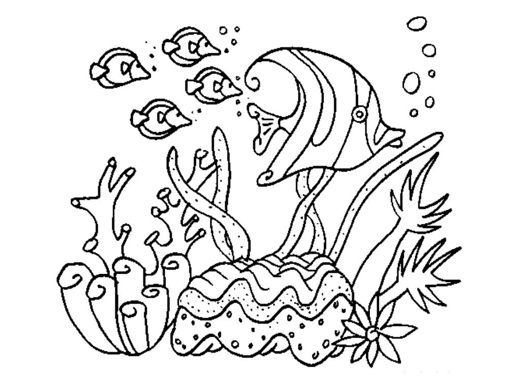 Ocean Coloring Book
 Animal Coloring Pages for Adults Bestofcoloring