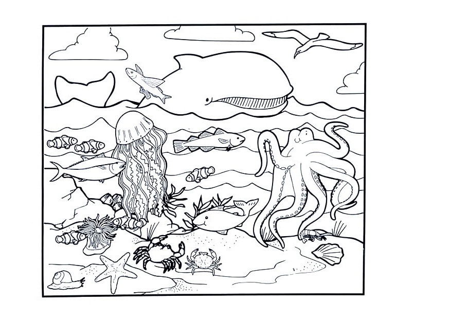 Ocean Coloring Book
 Free Printable Ocean Coloring Pages For Kids