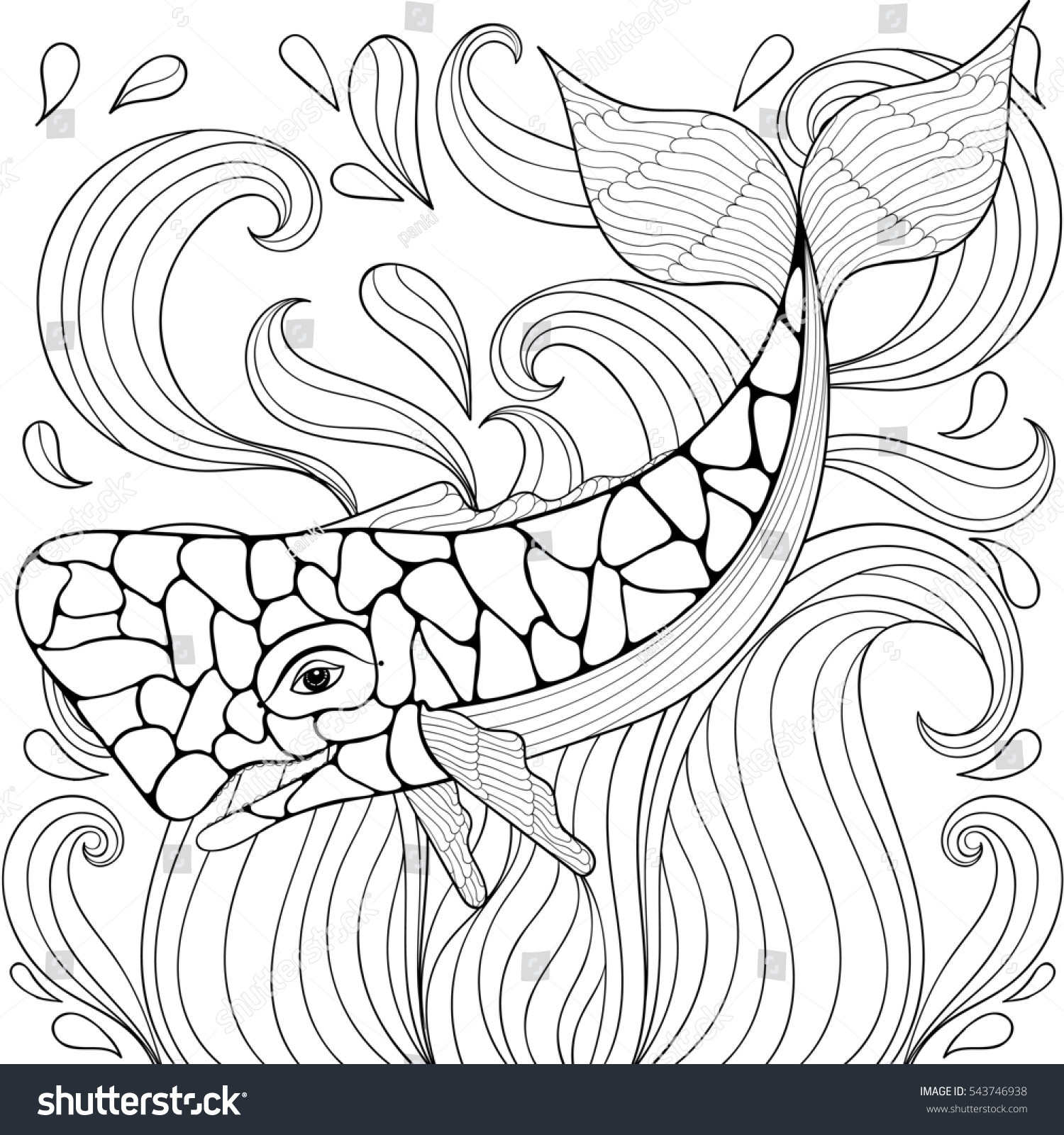 Ocean Waves Coloring Pages For Adults
 Zentangle Whale Waves Freehand Sketch Adult Stock