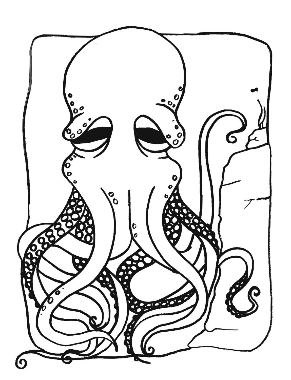 Octopus Coloring Book Pages
 Free Printable Octopus Coloring Pages For Kids