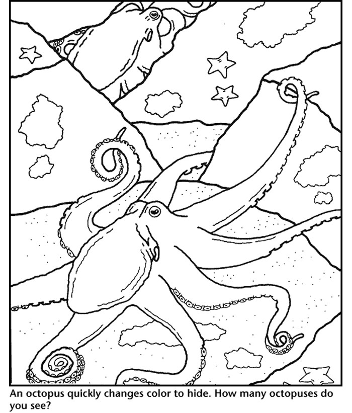Octopus Coloring Book Pages
 Free Printable Octopus Coloring Pages For Kids