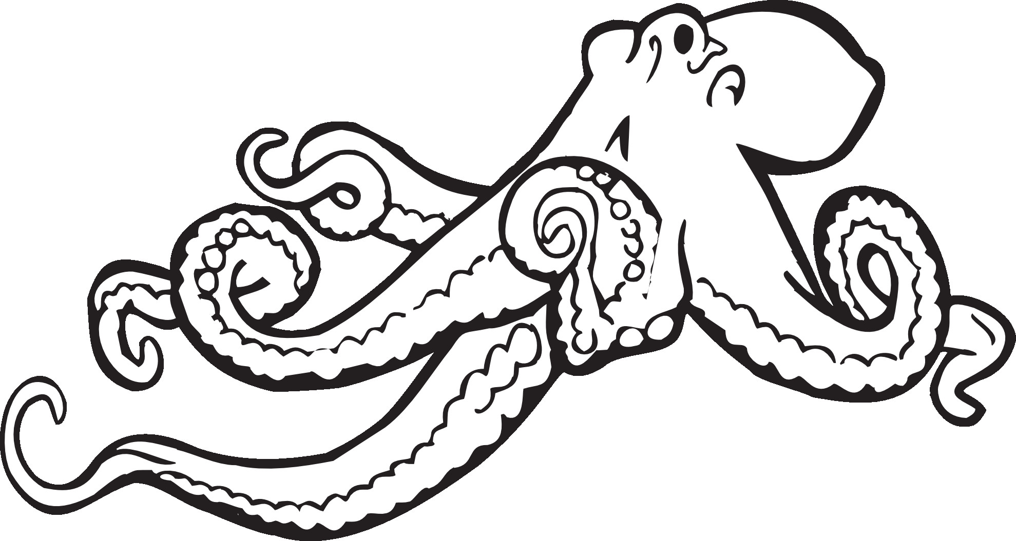 Octopus Coloring Book Pages
 Octopus Coloring Pages Preschool and Kindergarten