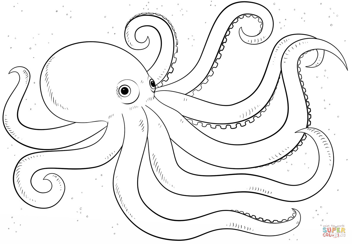 Octopus Coloring Book Pages
 Cartoon Octopus coloring page