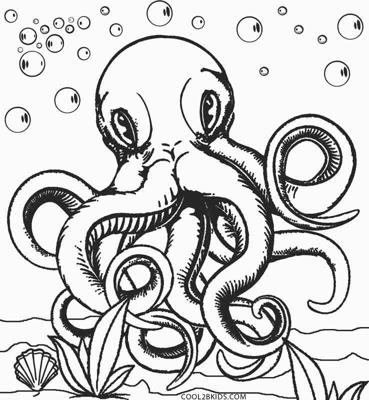 Octopus Coloring Book Pages
 Printable Octopus Coloring Page For Kids