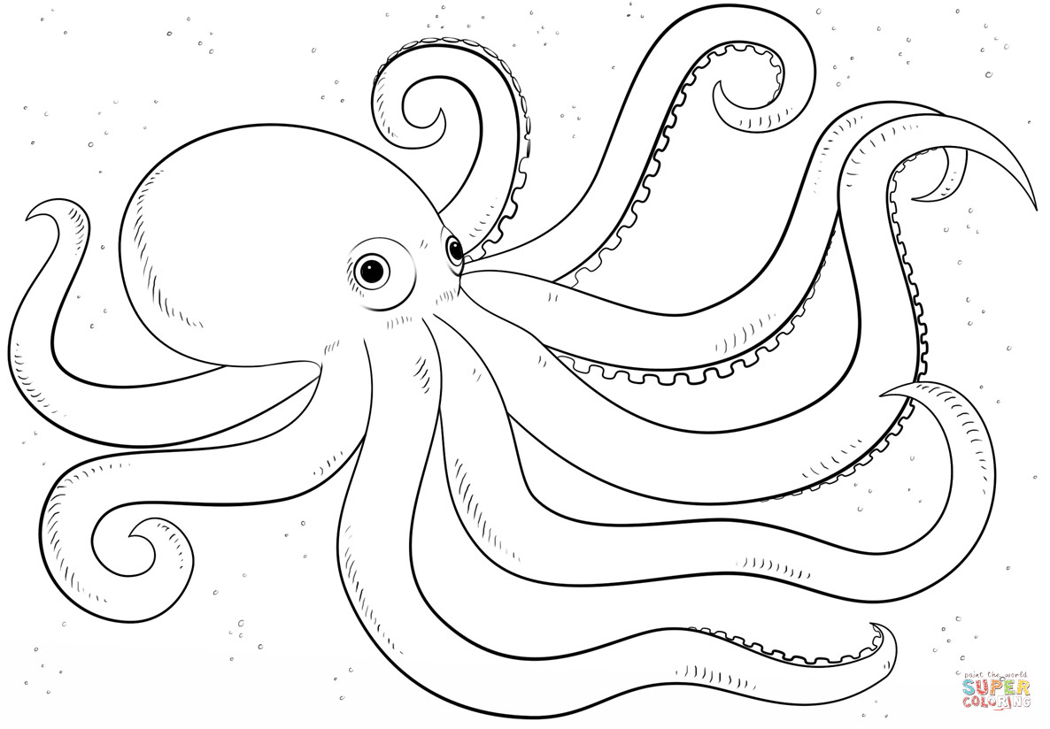 Octopus Coloring Sheet
 Cartoon Octopus coloring page