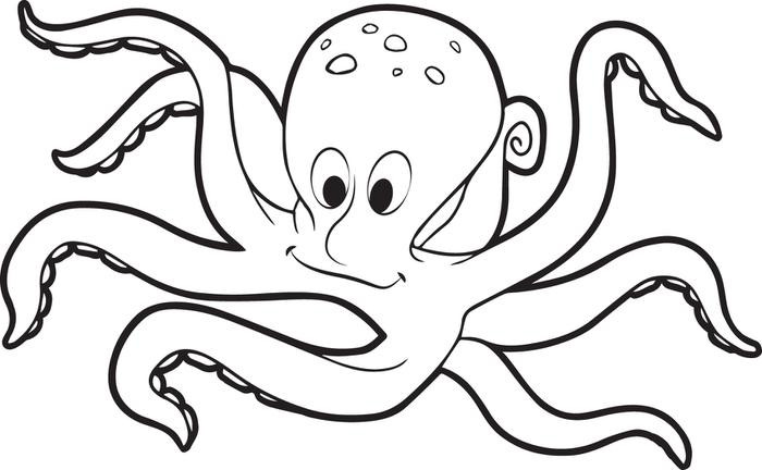 Octopus Coloring Sheet
 29 Fish and Octopus Coloring Pages for Kids