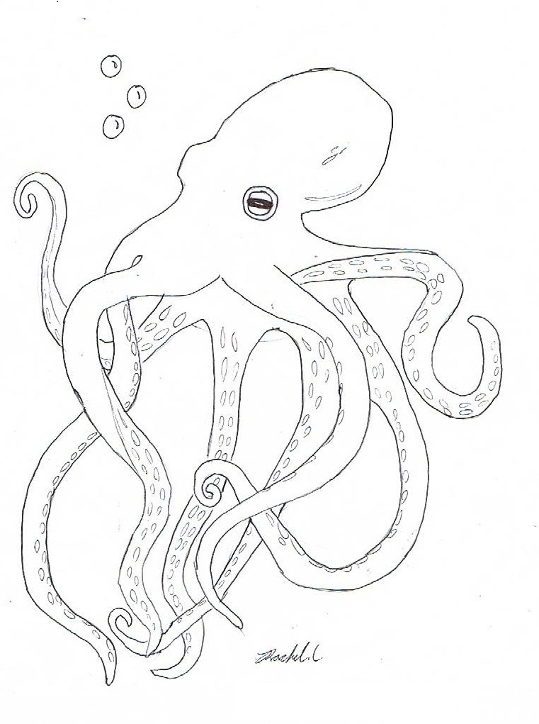 Octopus Coloring Sheet
 Free Printable Octopus Coloring Pages For Kids