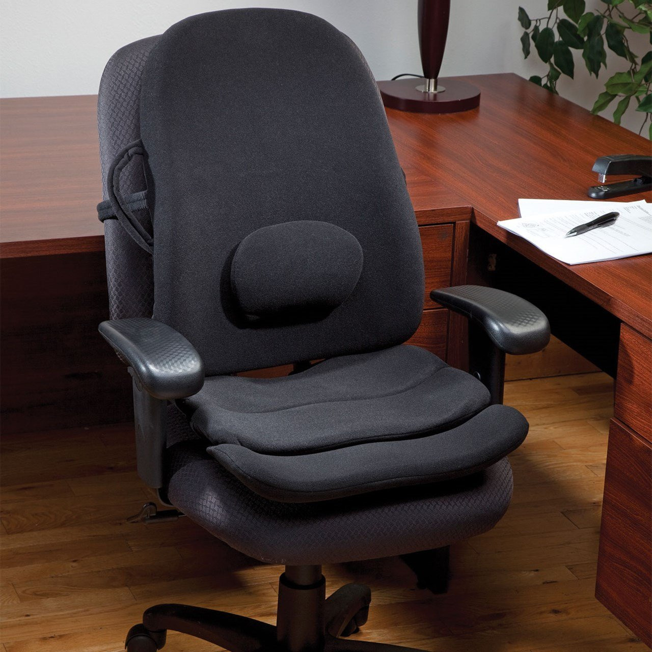 Best ideas about Office Chair Cushions
. Save or Pin Seat Cushions For Back Problems Home Furniture Design Now.