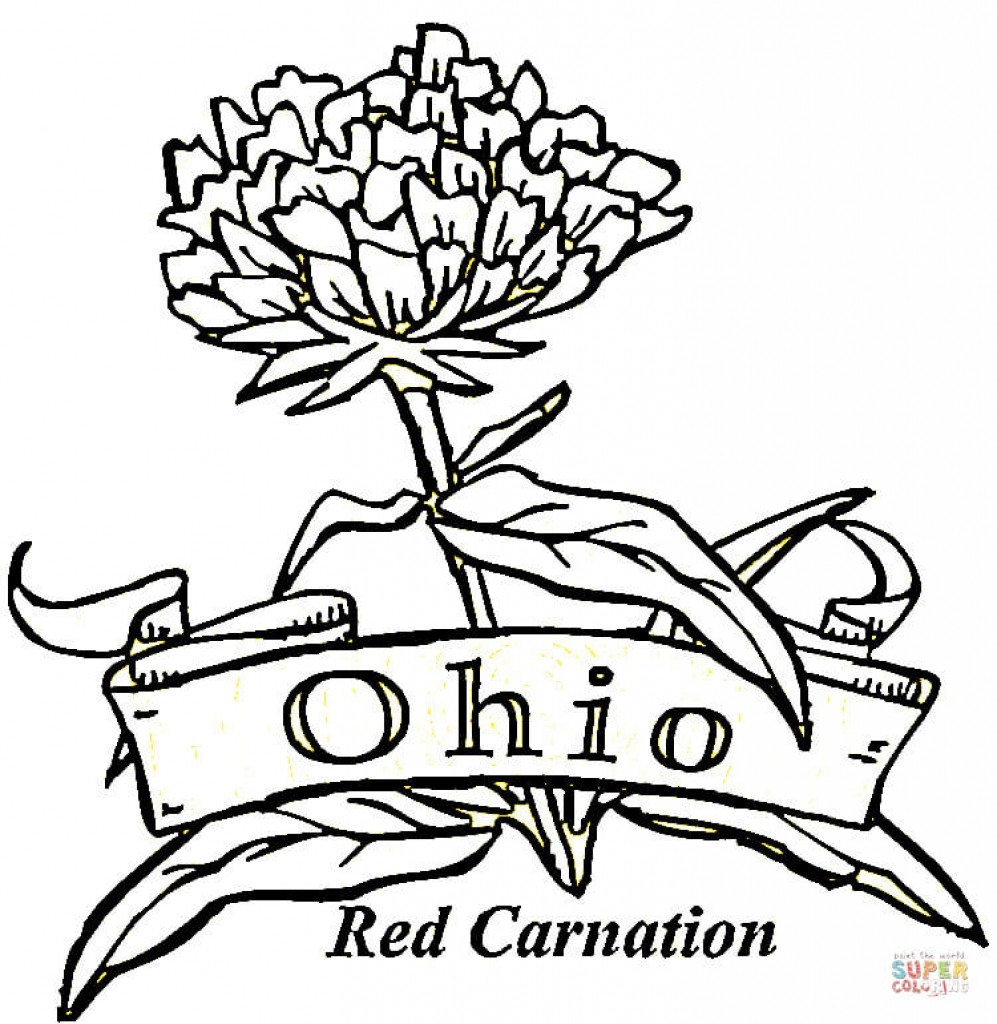 Ohio State Coloring Pages
 Ohio State Buckeyes Coloring Pages Coloring Home