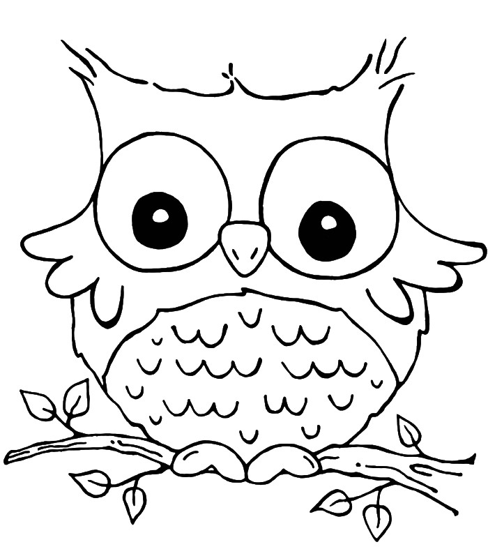 Owl Coloring Book Pages
 Nocturnal Bird Owl coloring pages 34 pictures cartoon clip