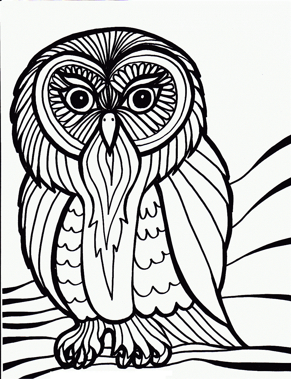 Owl Coloring Book Pages
 Free Printable Owl Coloring Pages For Kids