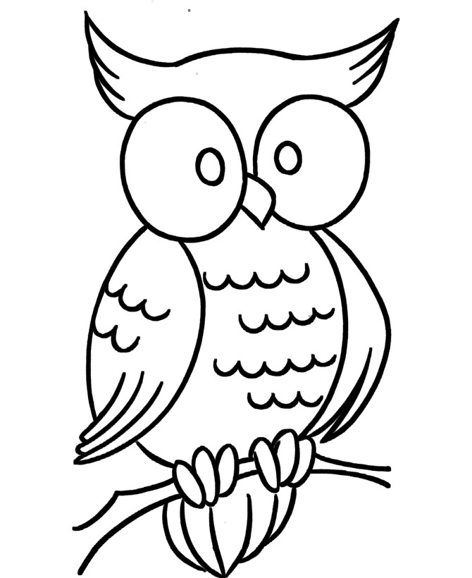 Owl Coloring Pages For Kids Printable
 owl coloring pages for kids printable coloring pages 8
