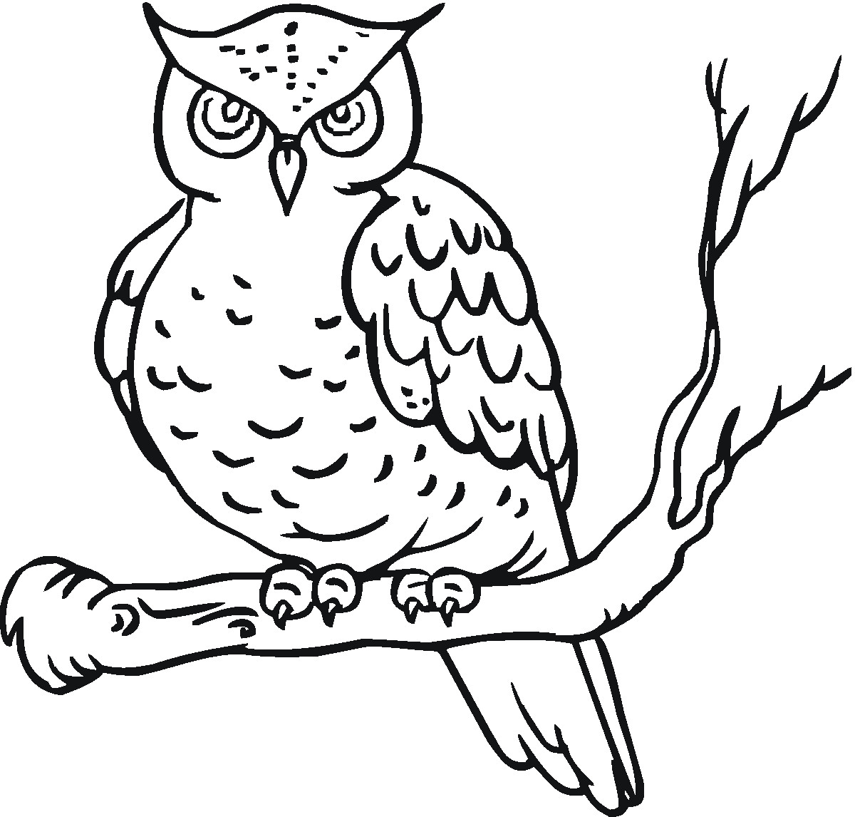 Owl Coloring Pages For Kids Printable
 Free Printable Owl Coloring Pages For Kids