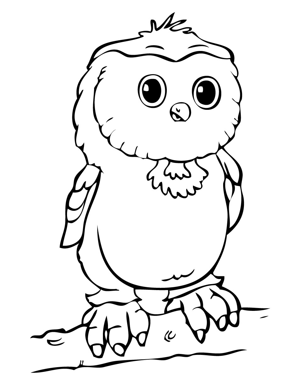 Owl Coloring Pages For Kids Printable
 owl coloring pages printable free