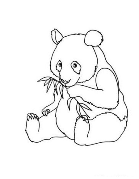 Panda Bear Coloring Pages
 Panda Bear Coloring Pages For Kids
