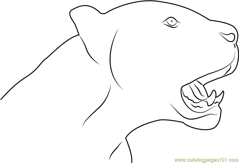 Panthers Coloring Pages
 Black Panther Face Coloring Page Free Panther Coloring