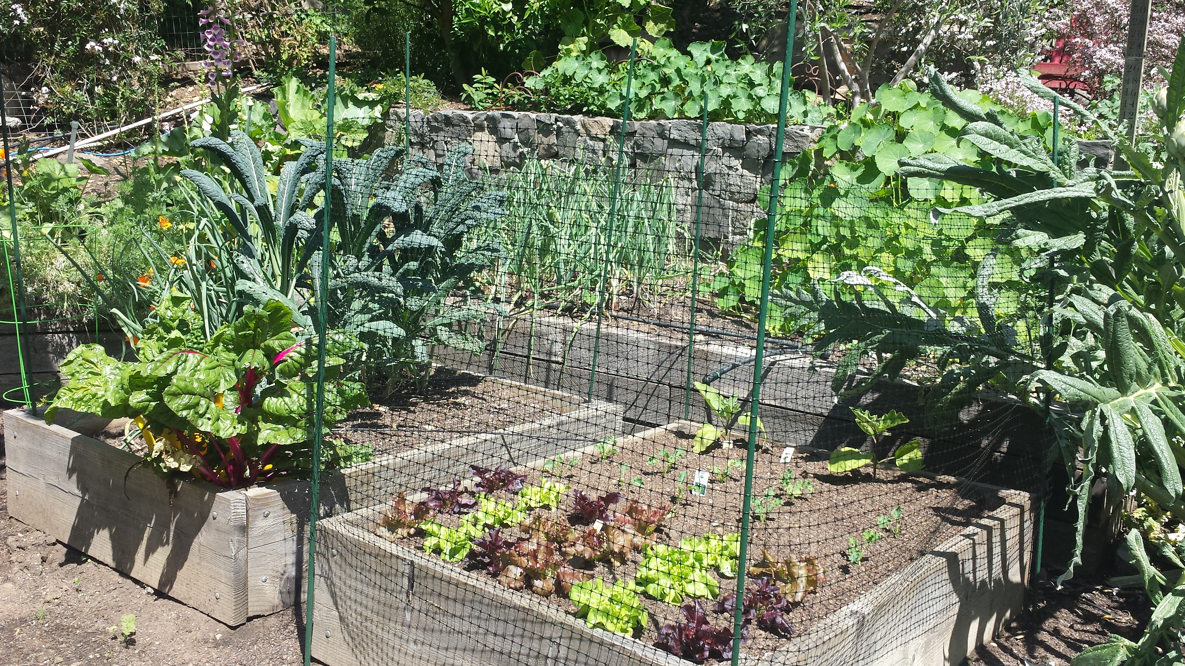 Best ideas about Patio Vegetable Garden Ideas
. Save or Pin creative ve able garden ideas Now.