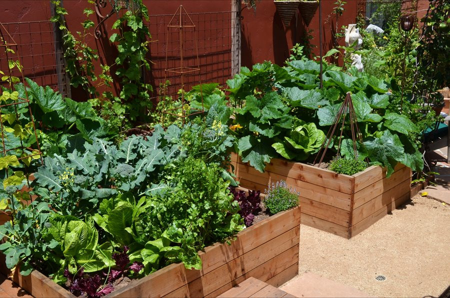 Best ideas about Patio Vegetable Garden Ideas
. Save or Pin Ve able Garden Design Ideas Landscaping Network Now.