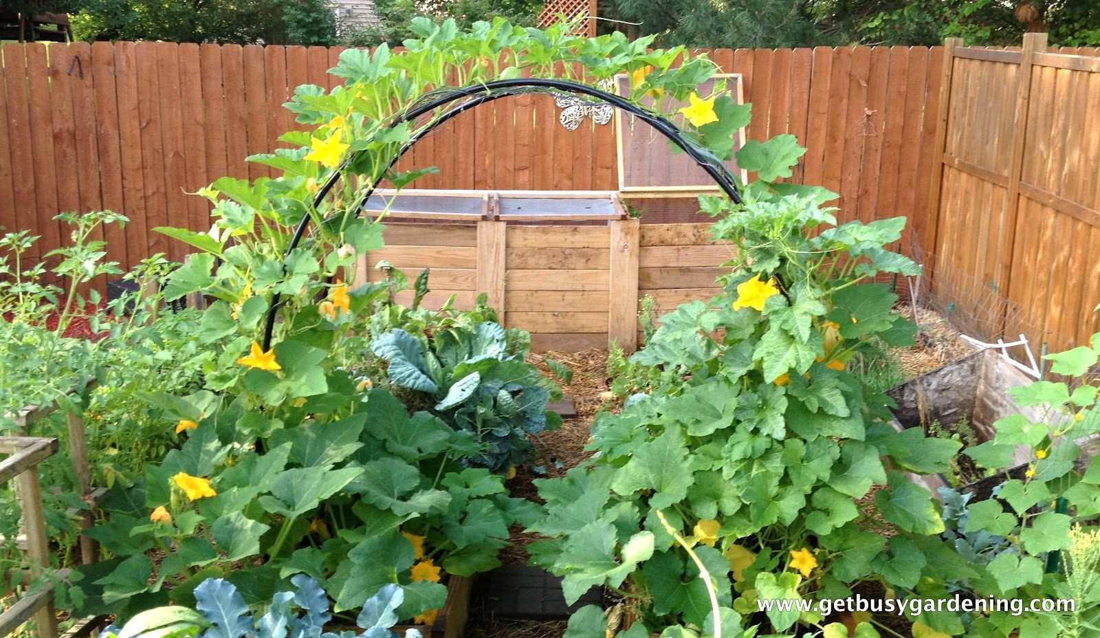 Best ideas about Patio Vegetable Garden Ideas
. Save or Pin Ideas For Small Spaces Stupefying Ve able Garden Plans Now.