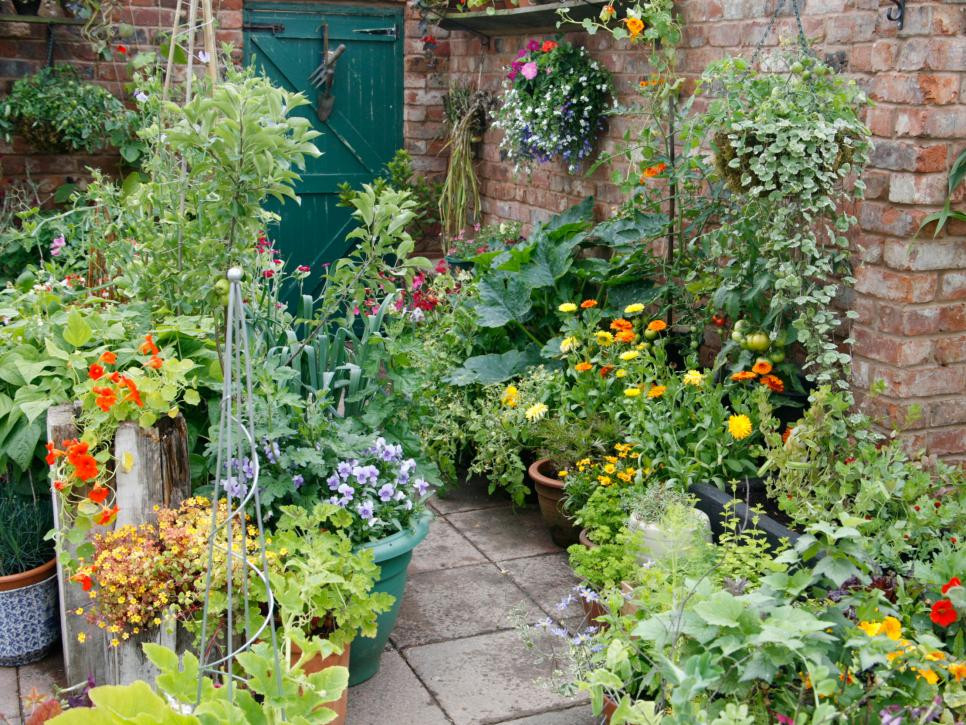 Best ideas about Patio Vegetable Garden Ideas
. Save or Pin Why Grow A Patio Garden Patio Ve able Garden Ideas For Now.