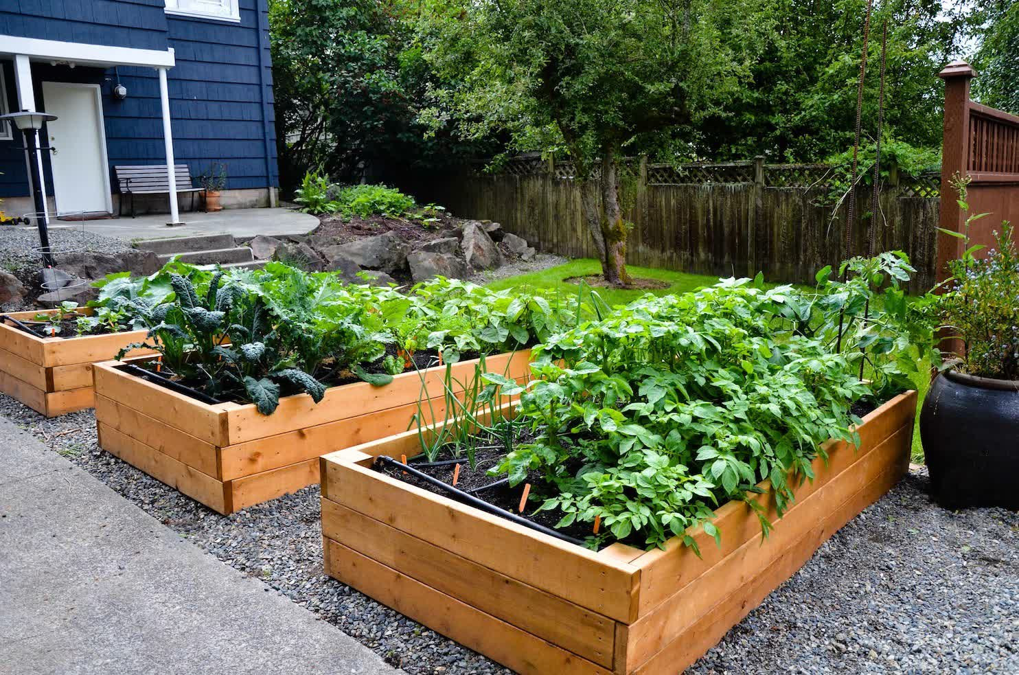 Best ideas about Patio Vegetable Garden Ideas
. Save or Pin Charming Decoration Container Ve able Garden Ideas Patio Now.