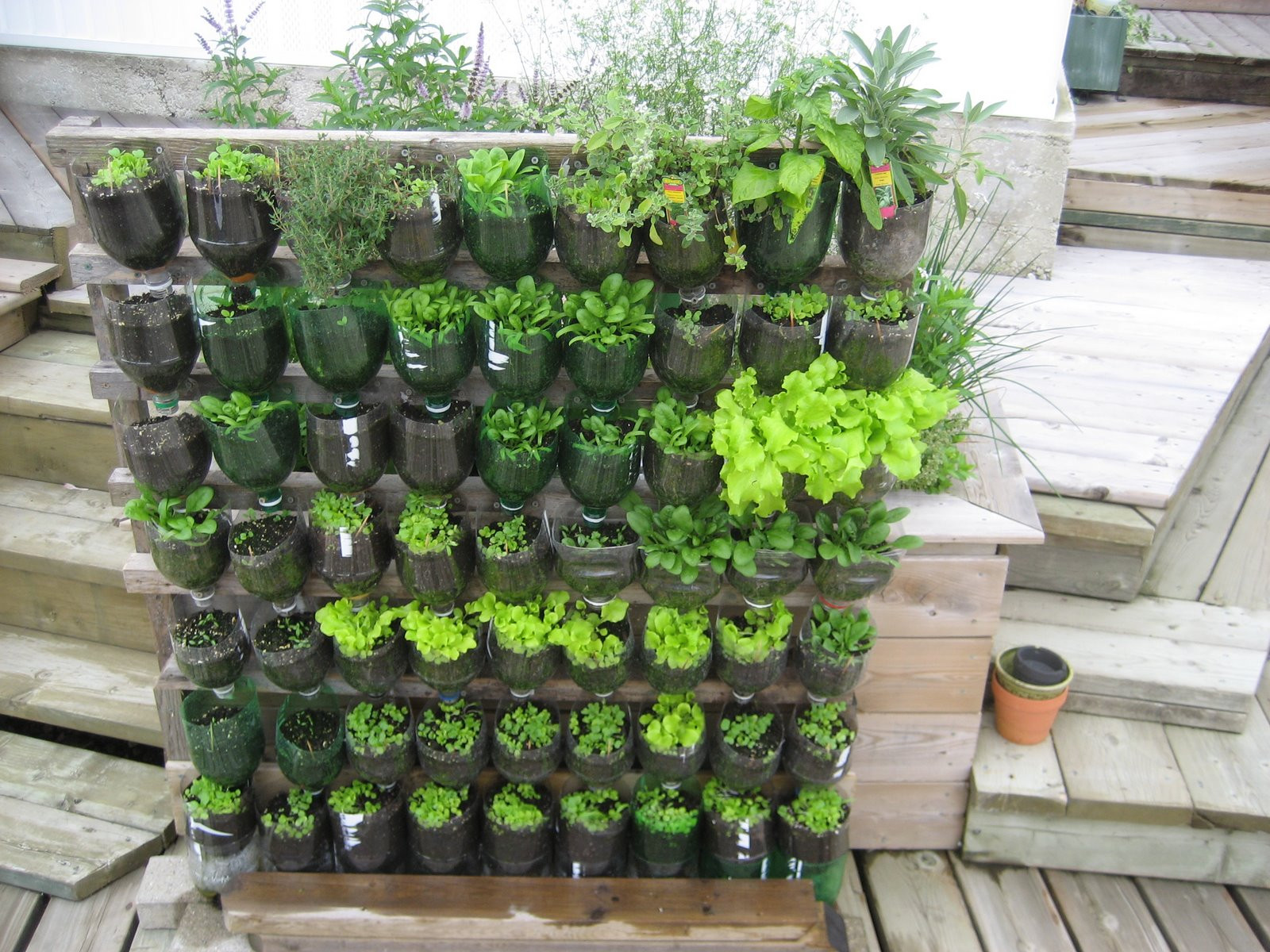 Best ideas about Patio Vegetable Garden Ideas
. Save or Pin 20 Vertical Ve able Garden Ideas Now.