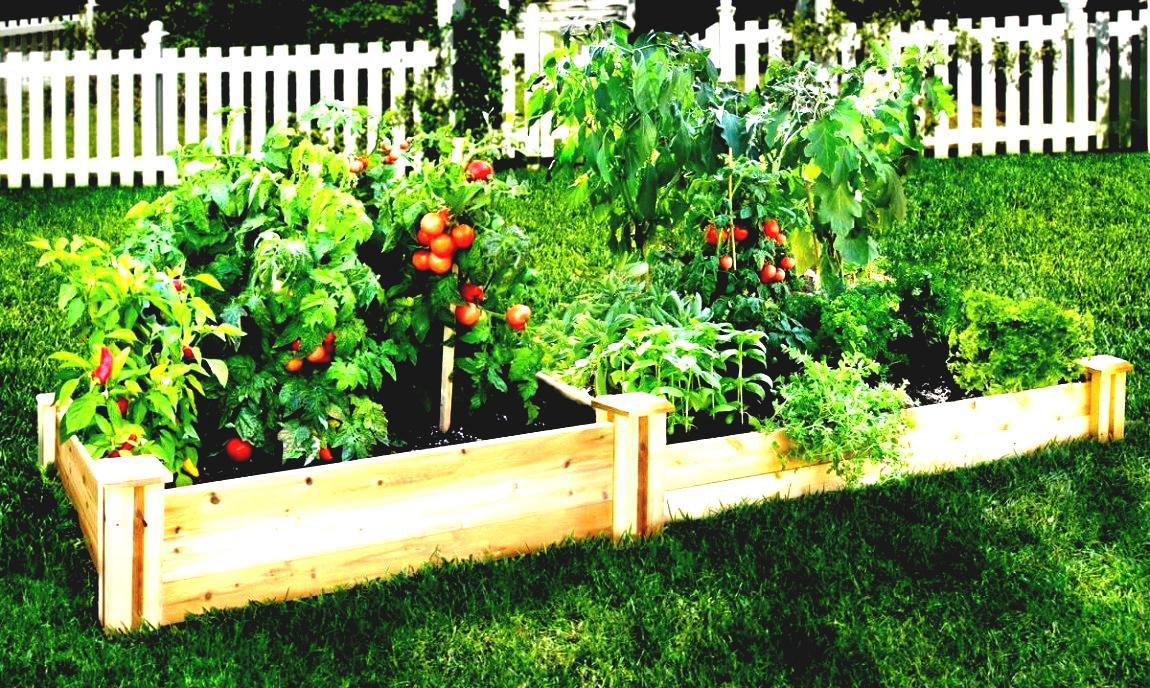 Best ideas about Patio Vegetable Garden Ideas
. Save or Pin Easy Patio Ve able Garden Now.