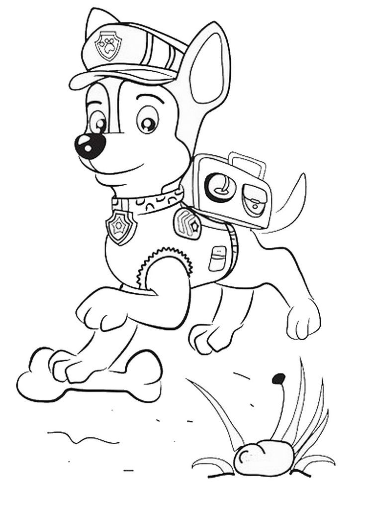 Paw Patrol Coloring Pages Everest
 paw patrol coloring page 3 867×1200