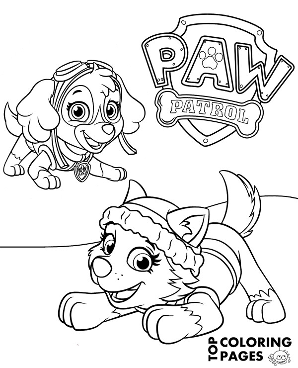 Paw Patrol Coloring Pages Everest
 Everest and Skye on printable Paw Patrol coloring page