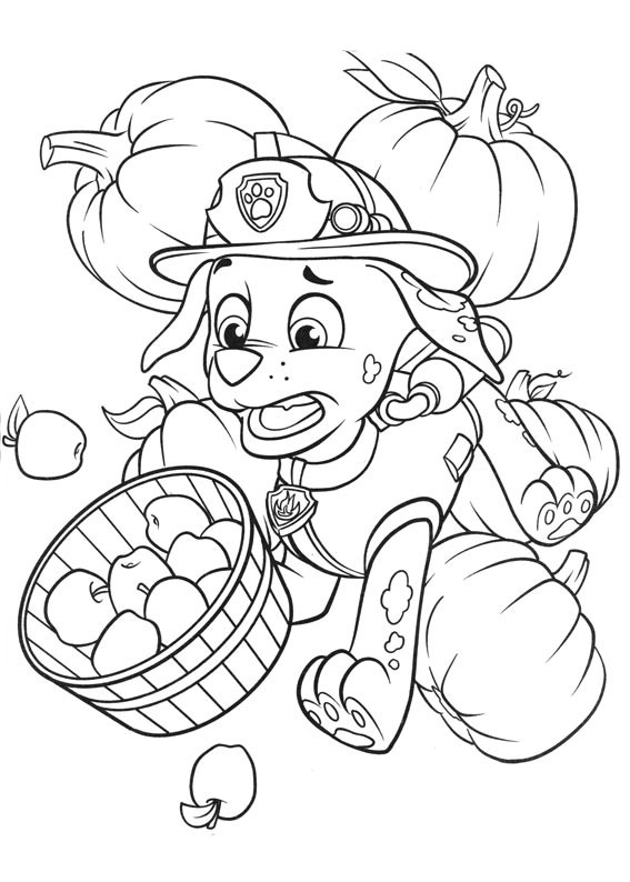 Paw Patrol Coloring Pages Marshall
 Paw patrol coloring pages marshall ColoringStar