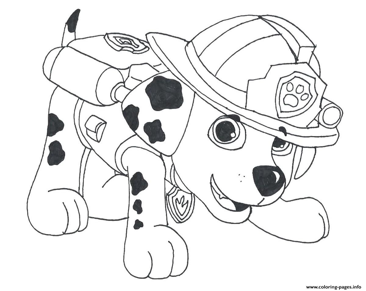 Paw Patrol Coloring Pages Marshall
 Paw Patrol Marshall Draw 2 Coloring Pages Printable
