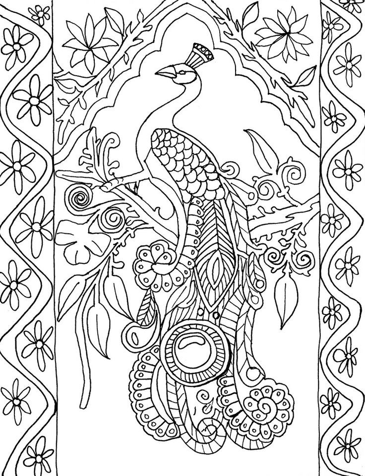 Peacock Coloring Pages
 Beautiful peacock coloring pages for girls Print Color Craft