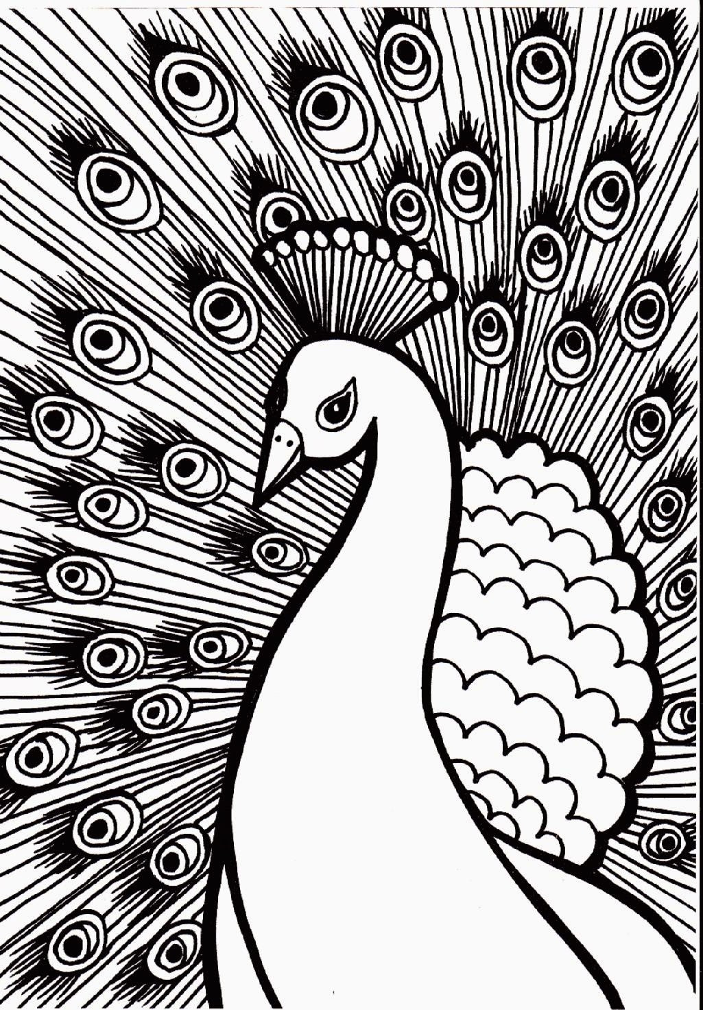 Peacock Coloring Pages
 38 Unique Peacock Coloring Pages For Kids Gianfreda