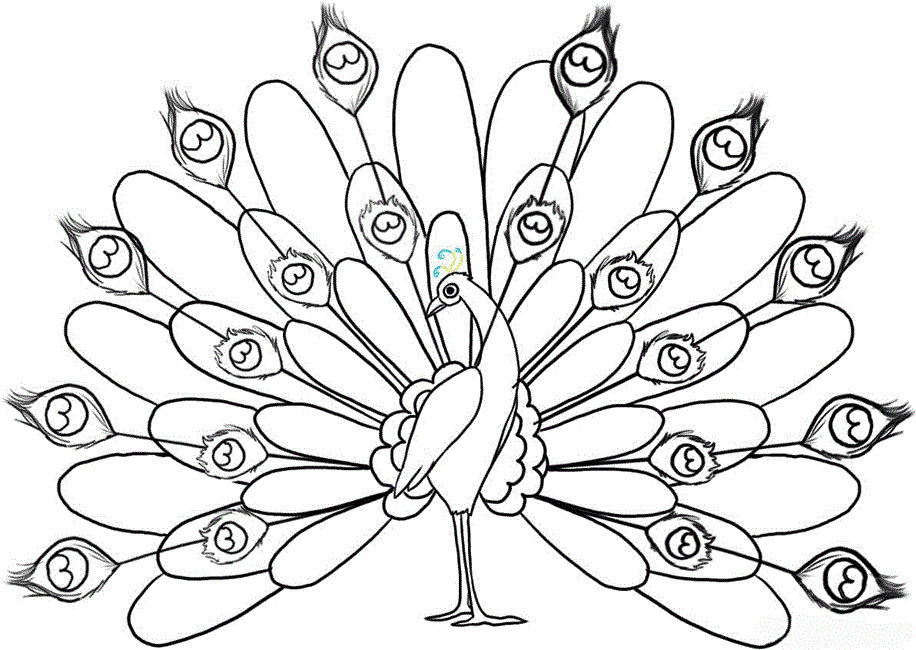 Peacock Coloring Sheet
 Free Printable Peacock Coloring Pages For Kids