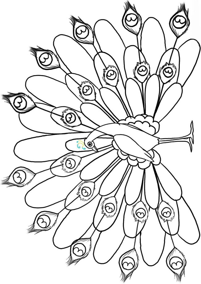 Peacock Coloring Sheet
 Peacock Coloring Pages For Kids Coloring Home
