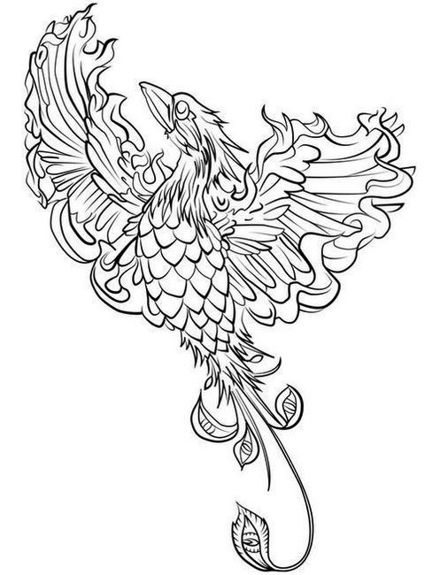 Pheonix Coloring Pages
 Phoenix Bird Coloring Pages Coloring Pages