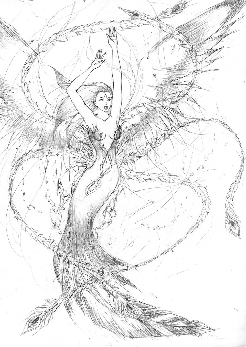 Pheonix Coloring Pages
 Phoenix Maiden by Aerythes on DeviantArt