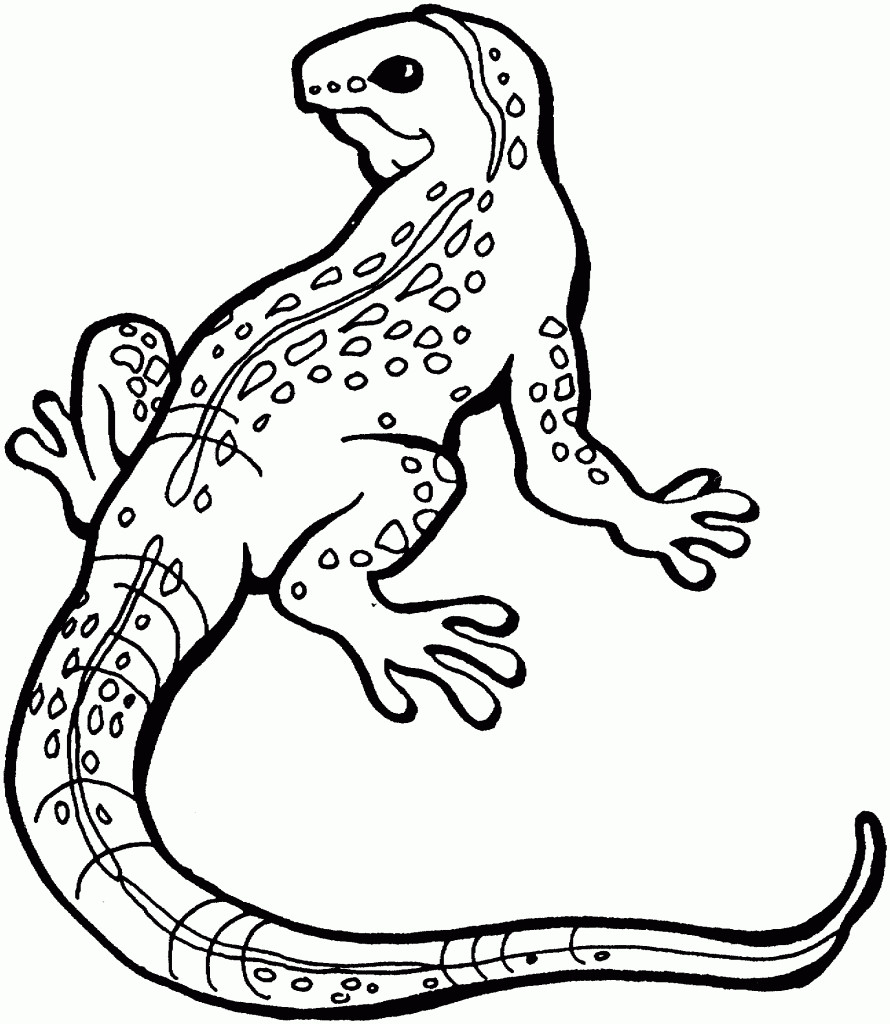 Pictures To Coloring Pages
 Free Printable Lizard Coloring Pages For Kids
