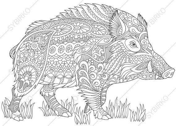 Pig Coloring Pages For Adults
 Wild Boar Pig Coloring Page Adult coloring by
