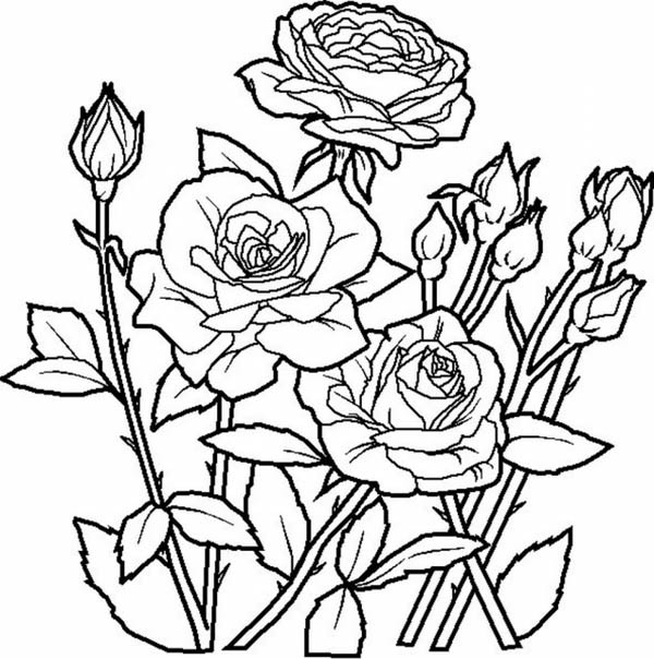 Best ideas about Pink Out Coloring Pages For Teens
. Save or Pin Melhores desenhos para colorir Março 2017 Now.