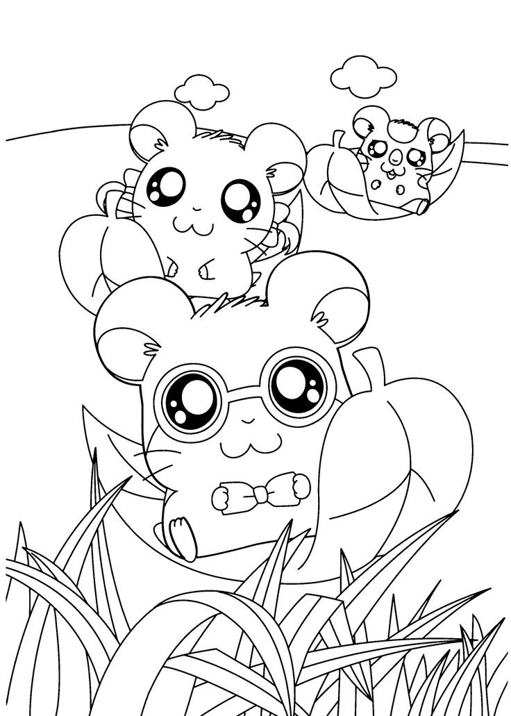 Pinteres Coloring Sheets For Kids
 Hamtaro funny anime coloring pages for kids printable