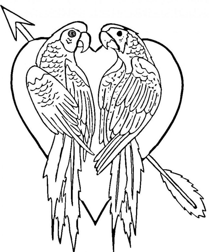 Pinteres Coloring Sheets For Kids
 Free Printable Parrot Coloring Pages For Kids