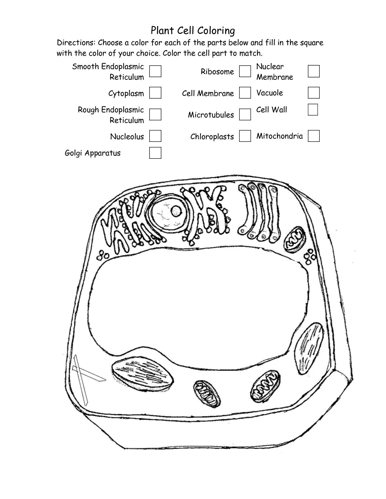 Plant Cell Coloring Sheet Answer Key
 14 Best of Plant Cell Worksheet Plant and Animal