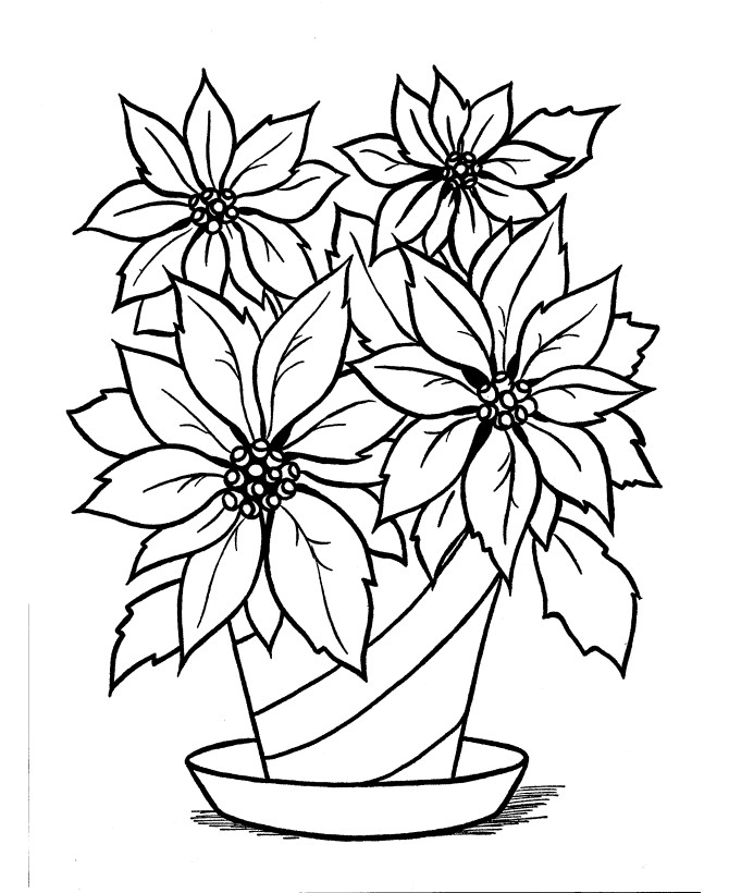 Poinsettias Coloring Pages
 Poinsettia Coloring Page AZ Coloring Pages