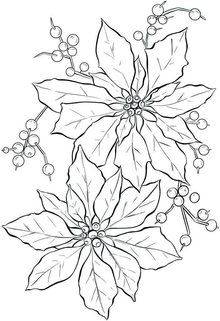 Poinsettias Coloring Pages
 Free Printable Poinsettia Coloring Pages For Kids