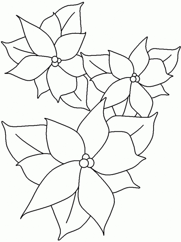 Poinsettias Coloring Pages
 Free Printable Poinsettia Coloring Pages For Kids