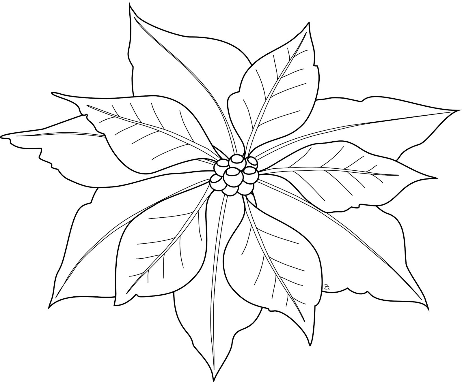 Poinsettias Coloring Pages
 Free Printable Poinsettia Coloring Pages For Kids